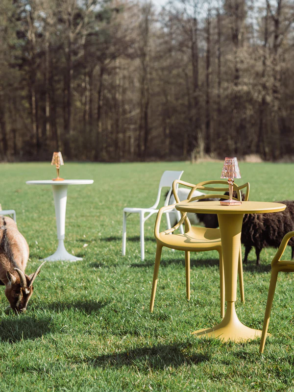 Exklusive Designklassiker aus zweiter Hand